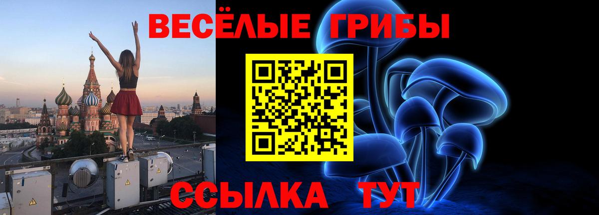 Воркута  Псилоцибиновые грибы Cubensis  Вход с VPN  Псилоцибиновые грибы ЛСД 